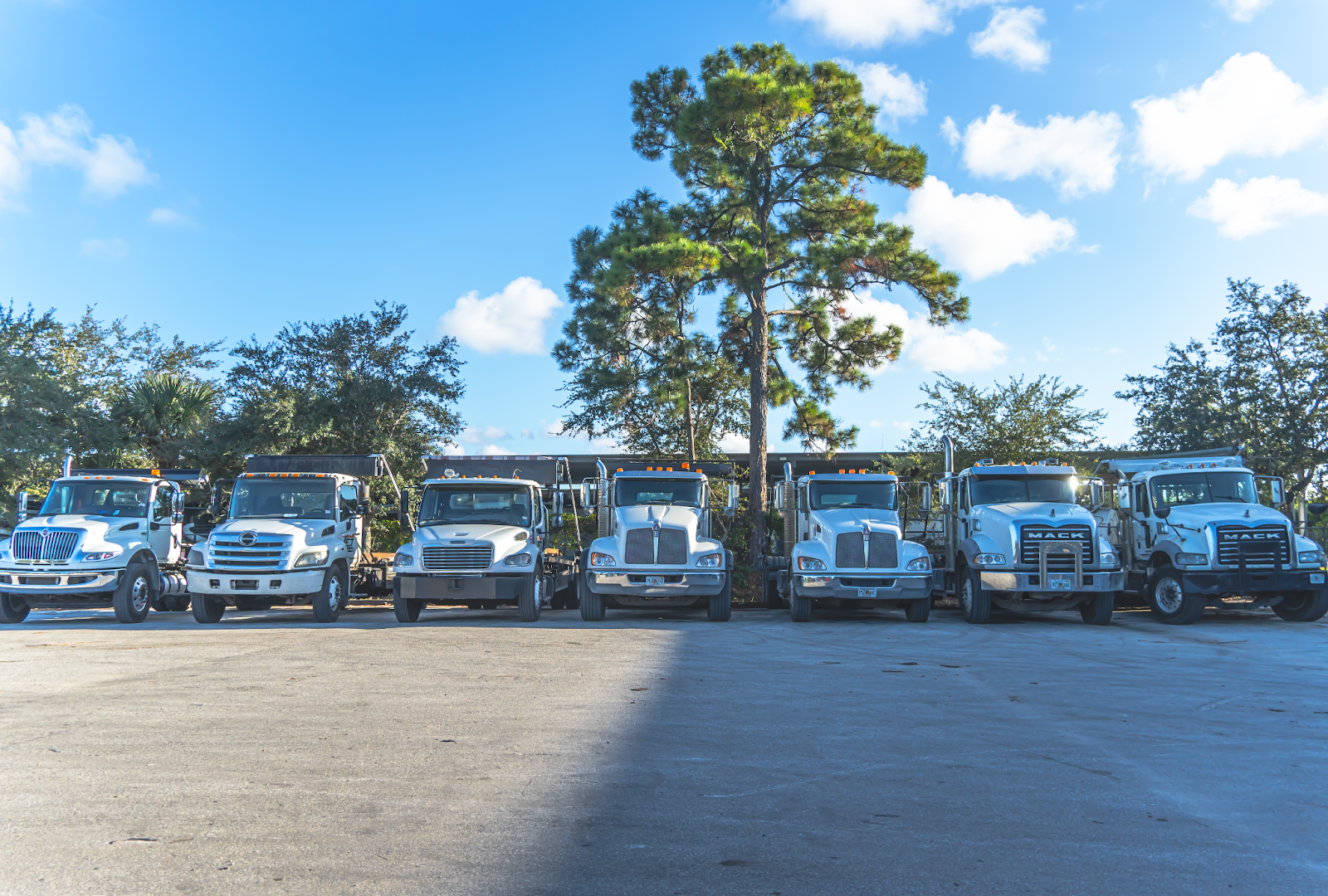 Choose a Dumpster Rental for Your Summer Projects Image